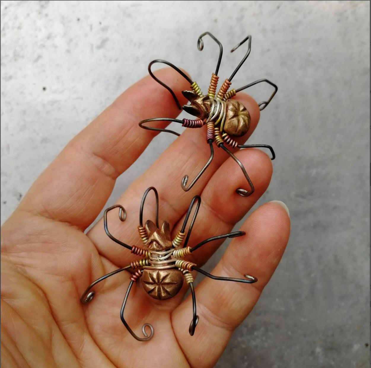 Stora spindelörhängen