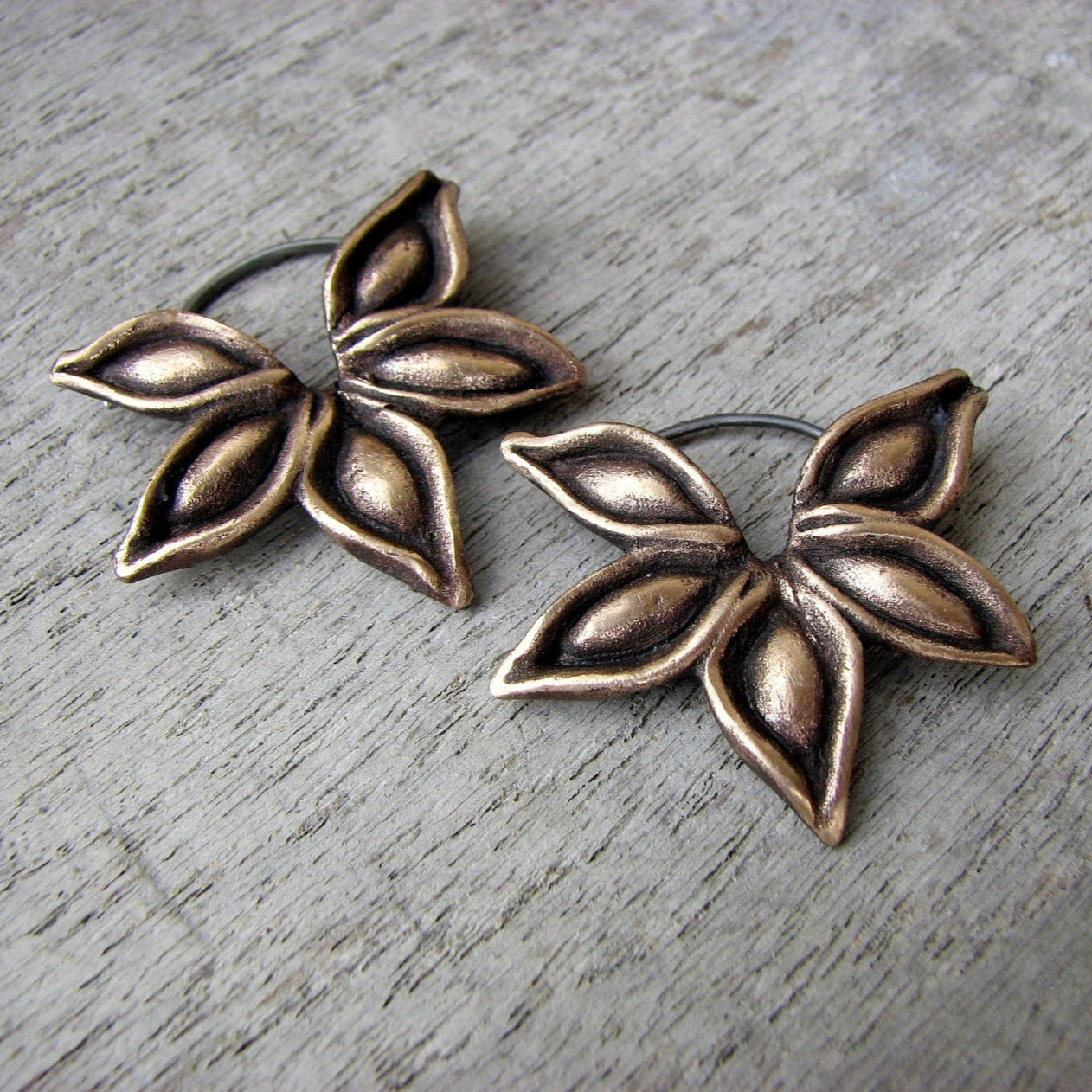 Star anise earrings