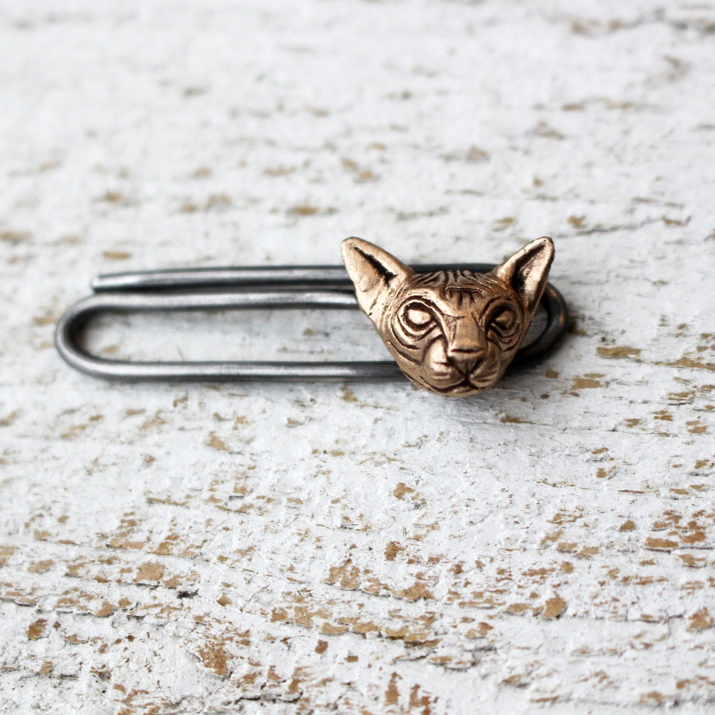 Sphynxkatt – slipsklämma