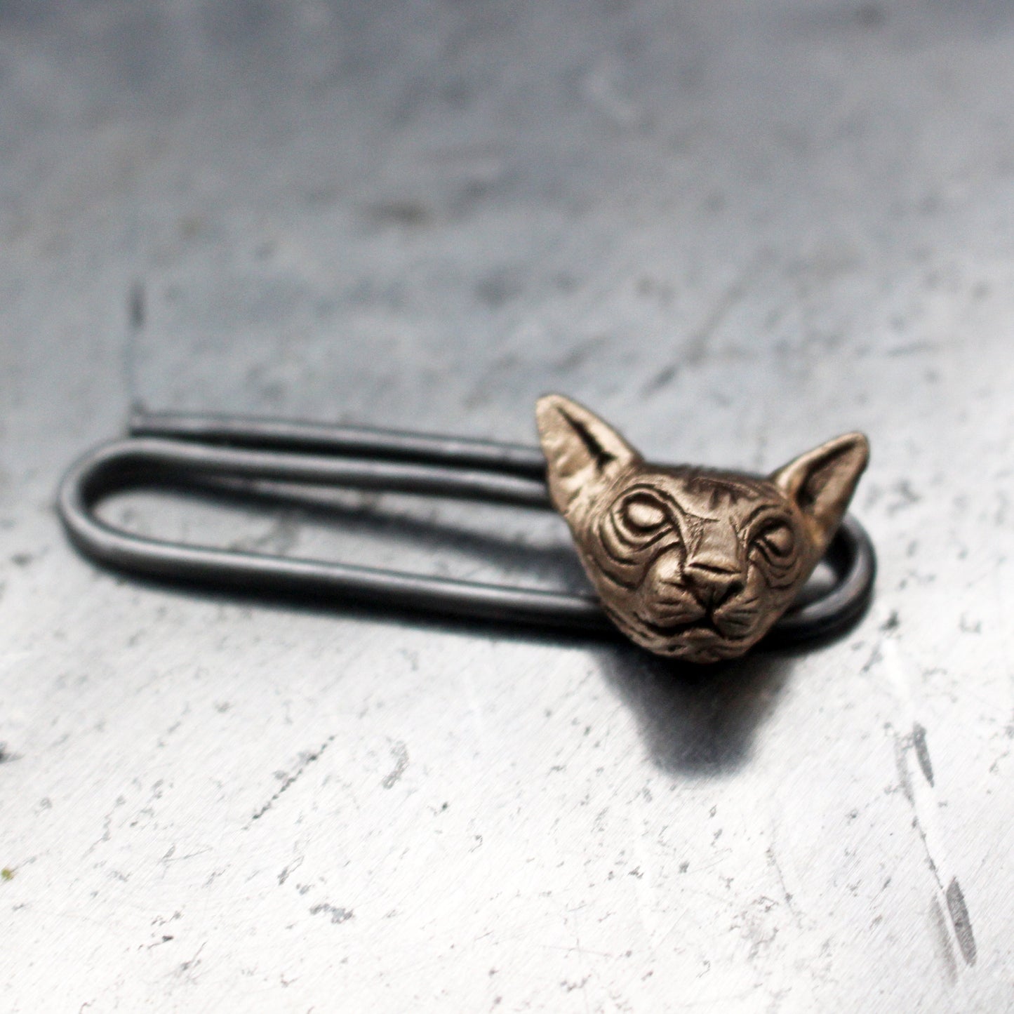 Sphynxkatt – slipsklämma