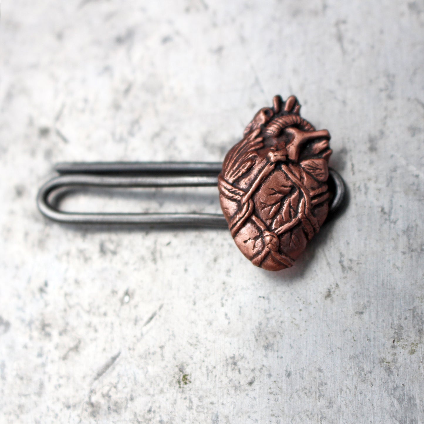 Bound anatomical heart slipsklämma