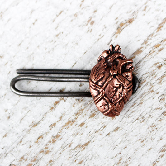 Bound anatomical heart slipsklämma