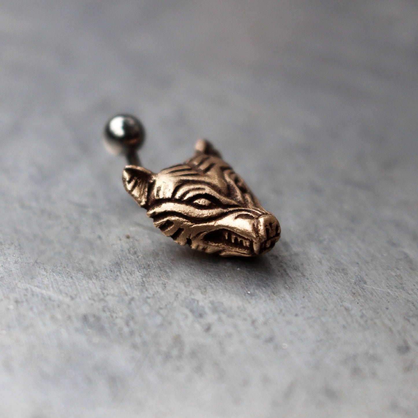 bronze wolf head belly ring piercing with 14g surgical steel barbell.