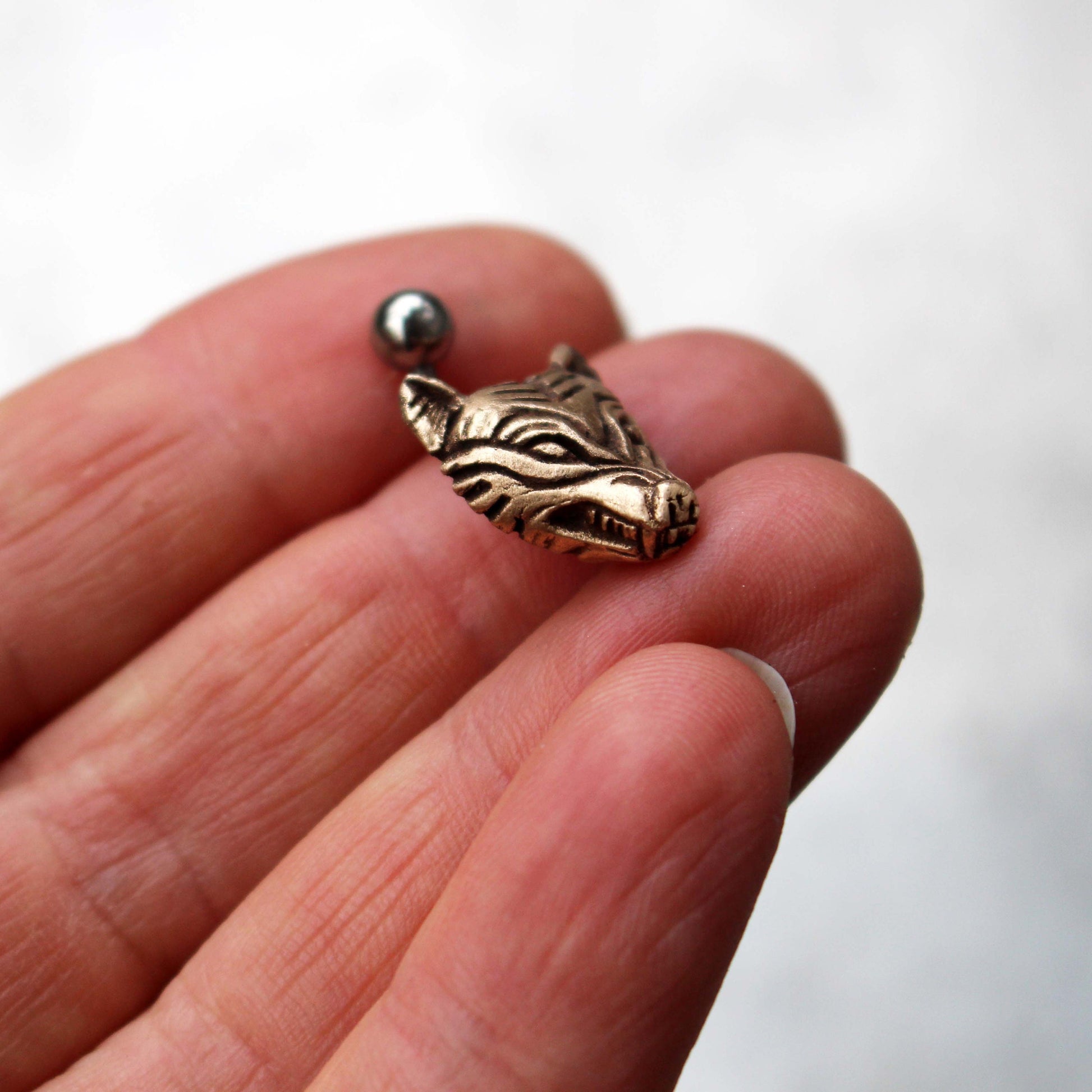 A bronze wolf head belly ring piercing with a titanium barbell.