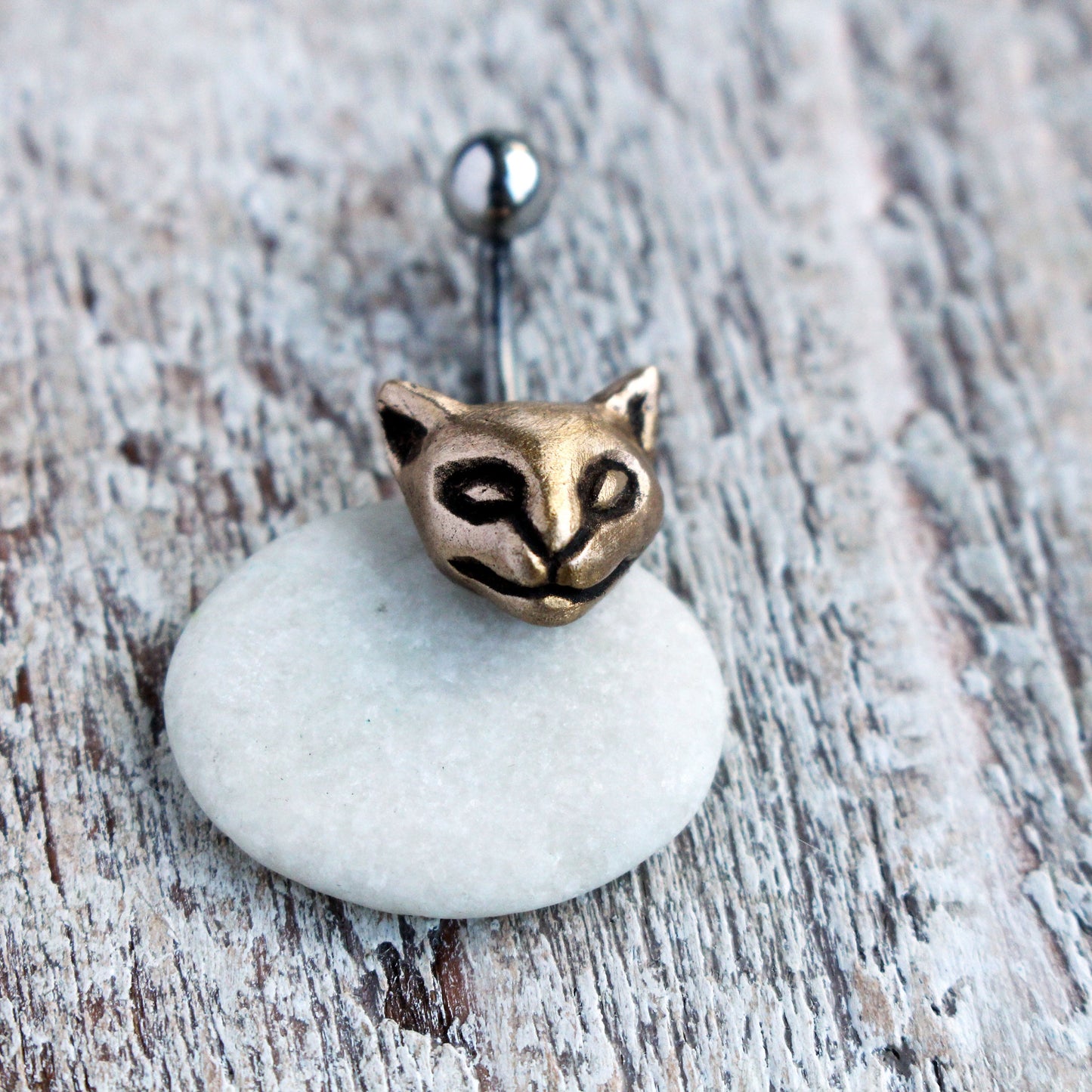 cat belly ring in bronze and titanium