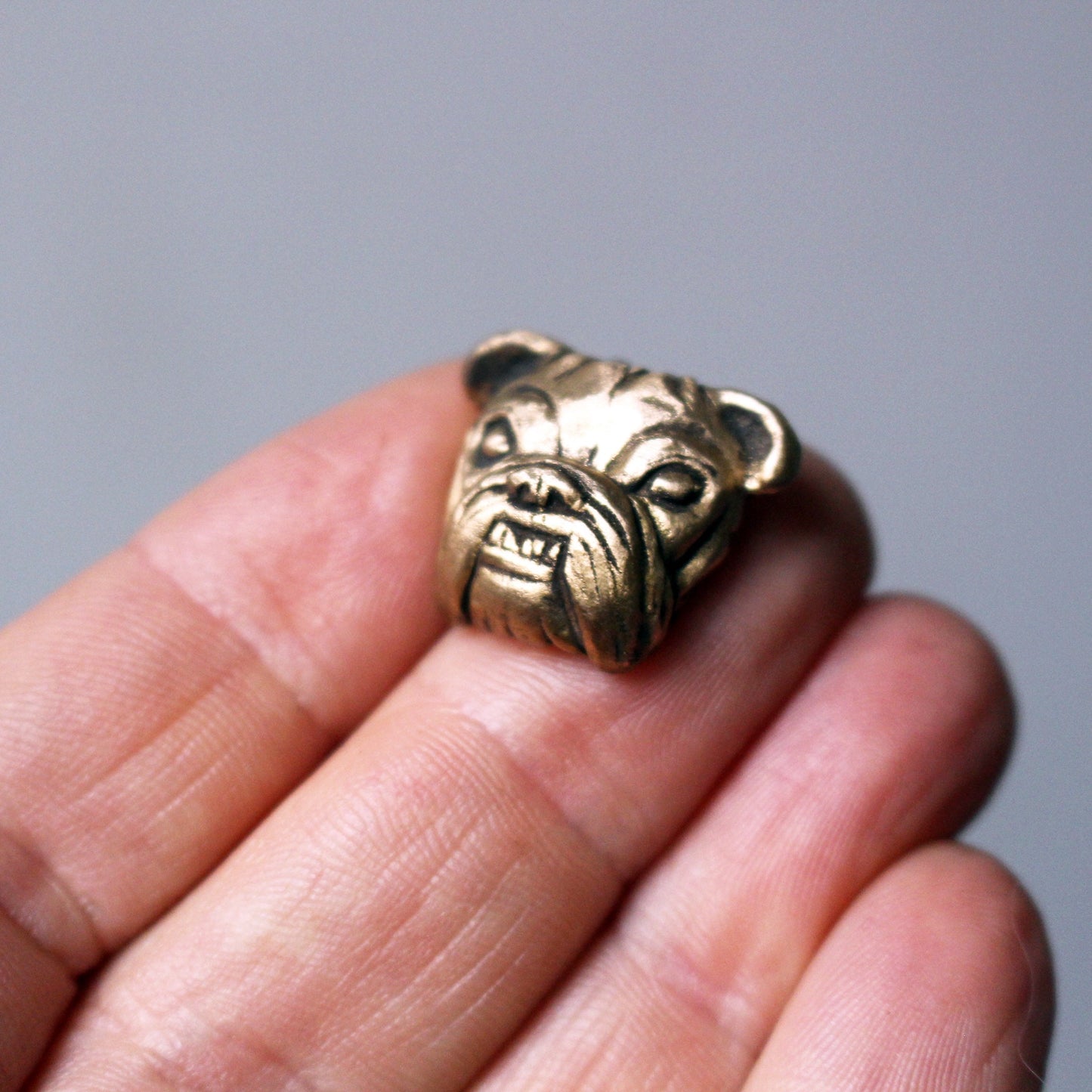 Personligt Hundhalsband i Brons – Din Hund, Fast i Miniatyr