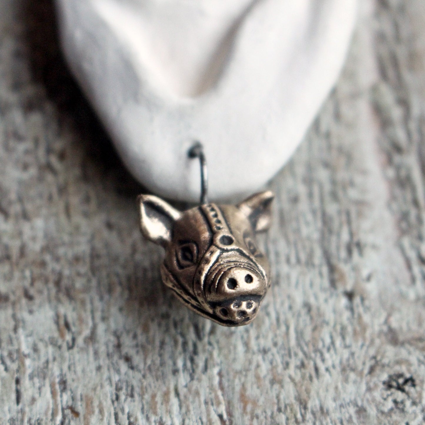 bronze and titanium pig earrings with  titanium ear wires