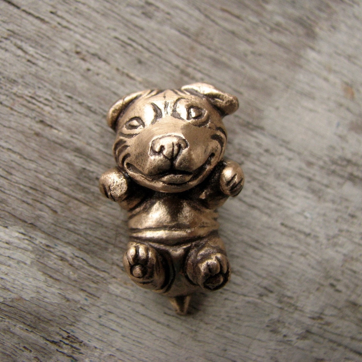 Personligt Hundhalsband i Brons – Din Hund, Fast i Miniatyr