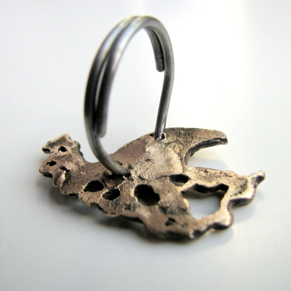 The raven ring