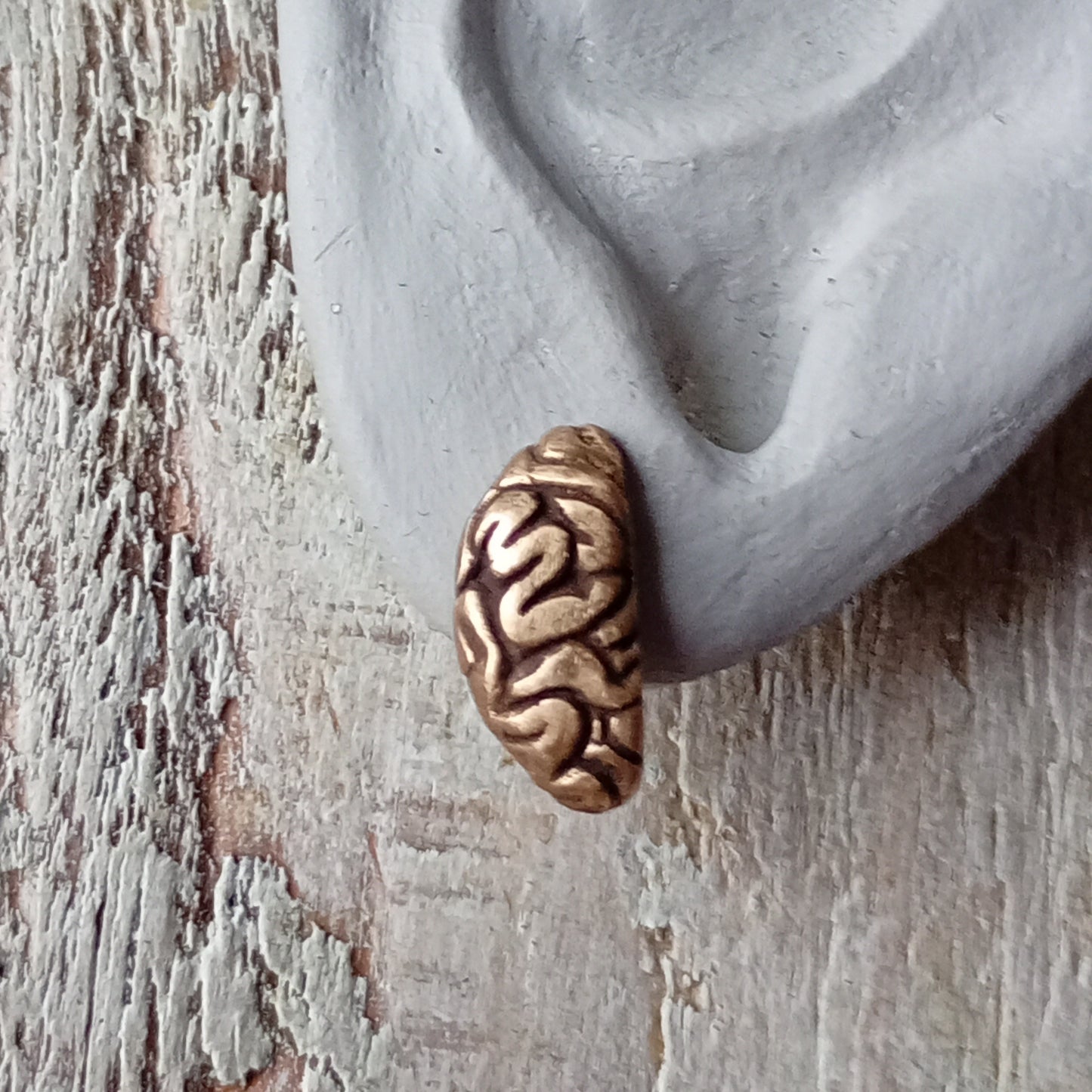 Crescent brain earrings in bronze and titanium