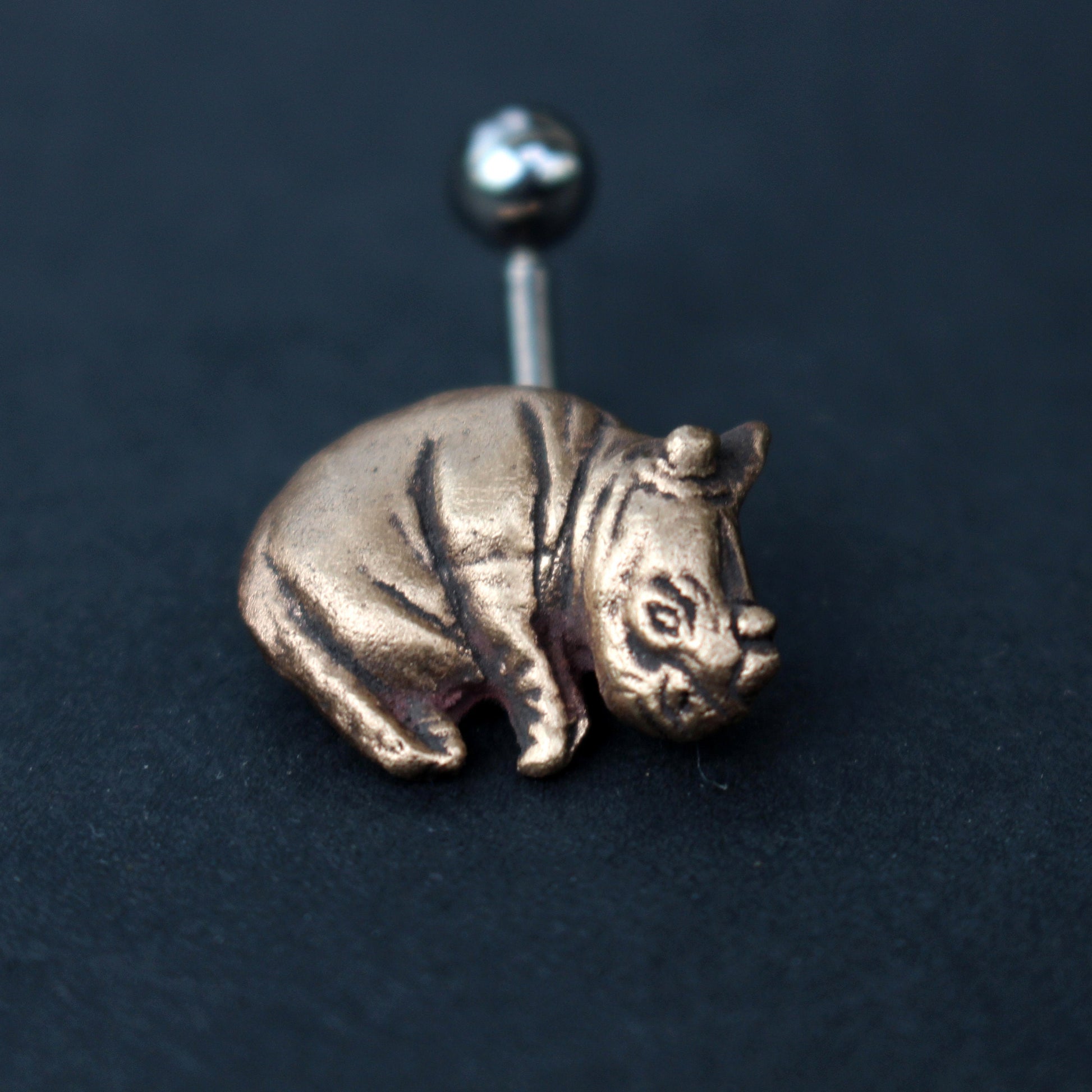 Rhinoceros belly piercing