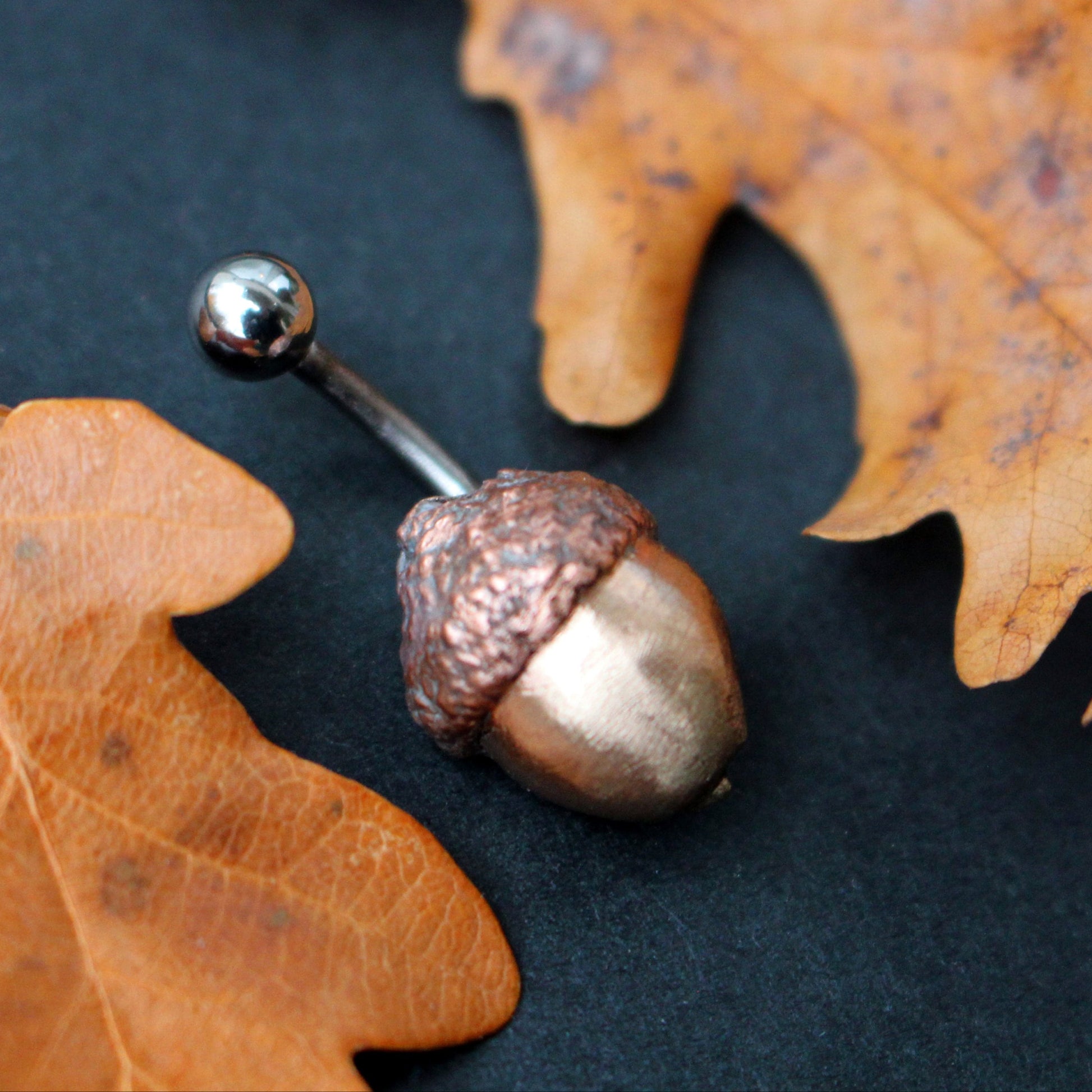 Acorn belly button ring with a bronze nut, copper cap, and a curved barbell, displayed on a dark surface with autumn leaves.