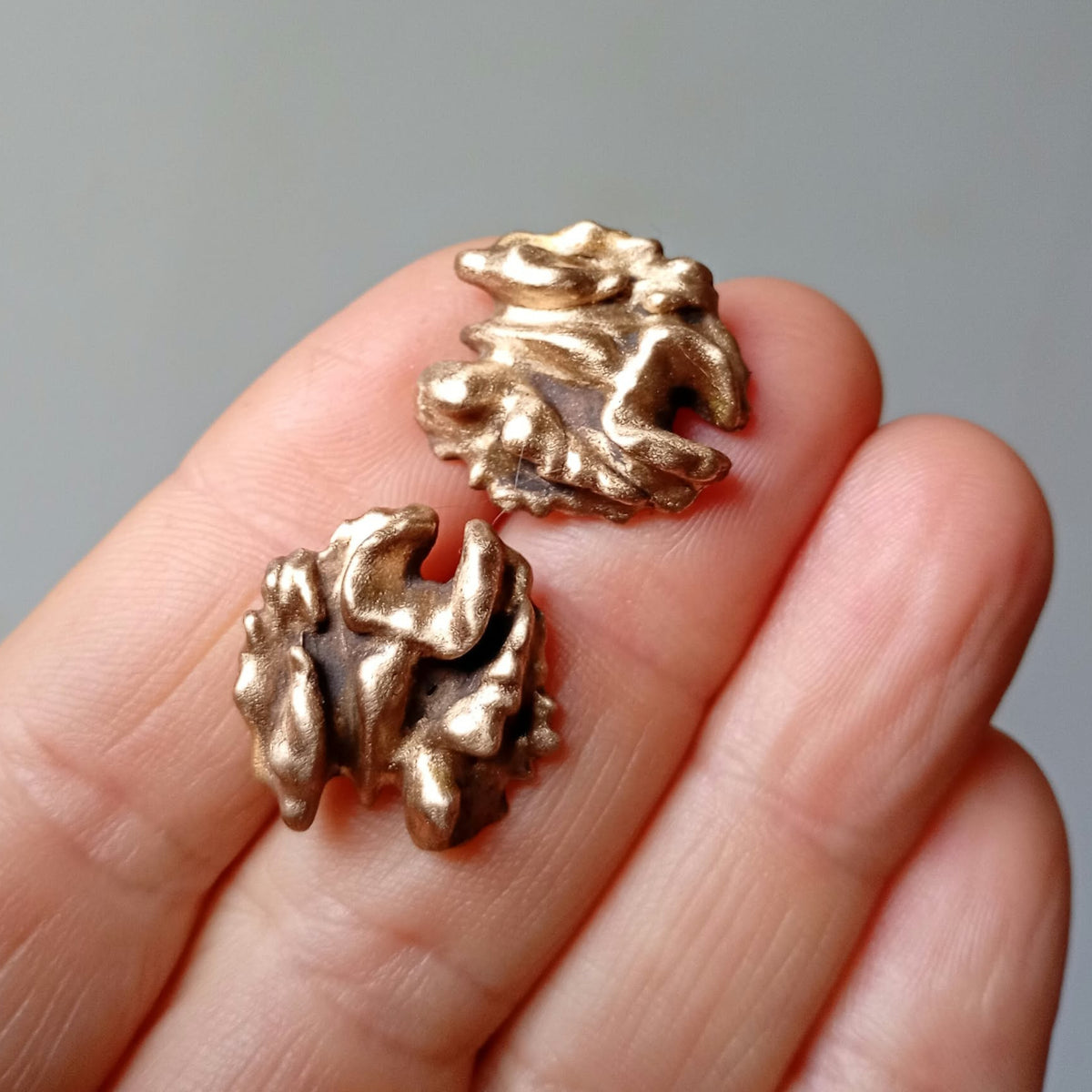A close-up of a person's hand holding two small bronze walnut kernels 