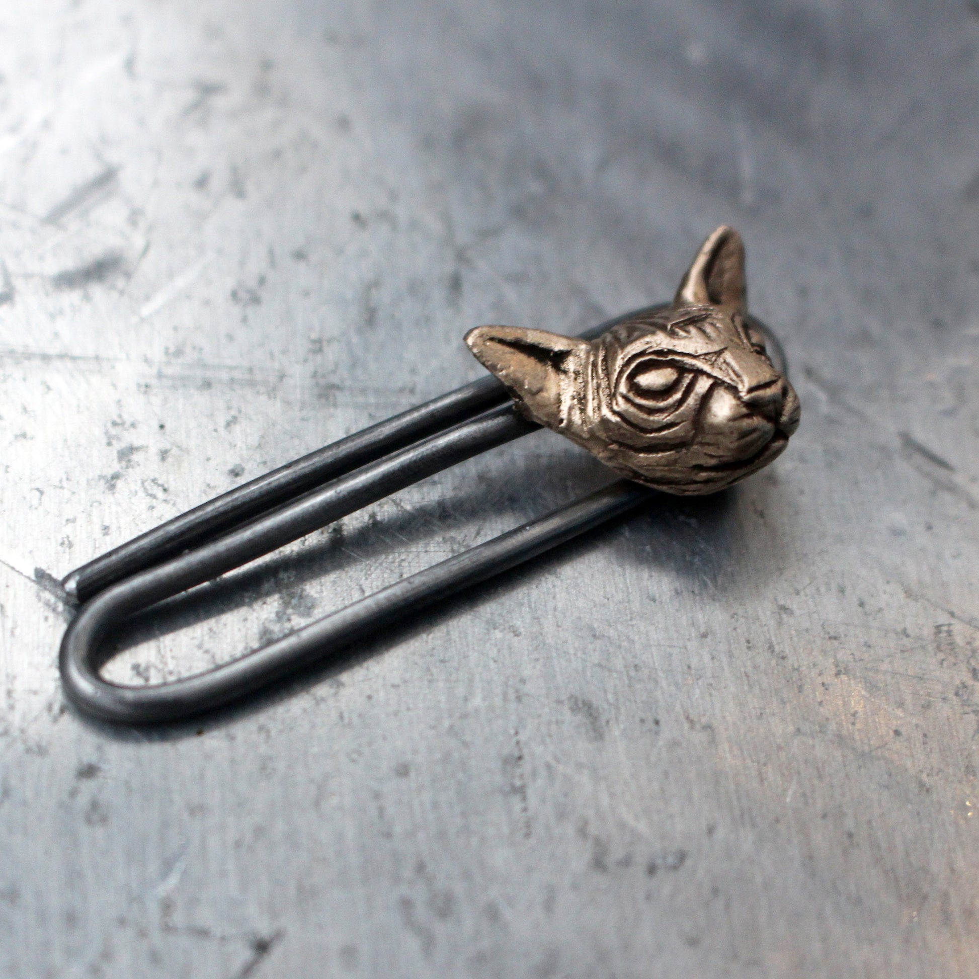 devon rex sphynx katt slips klämma