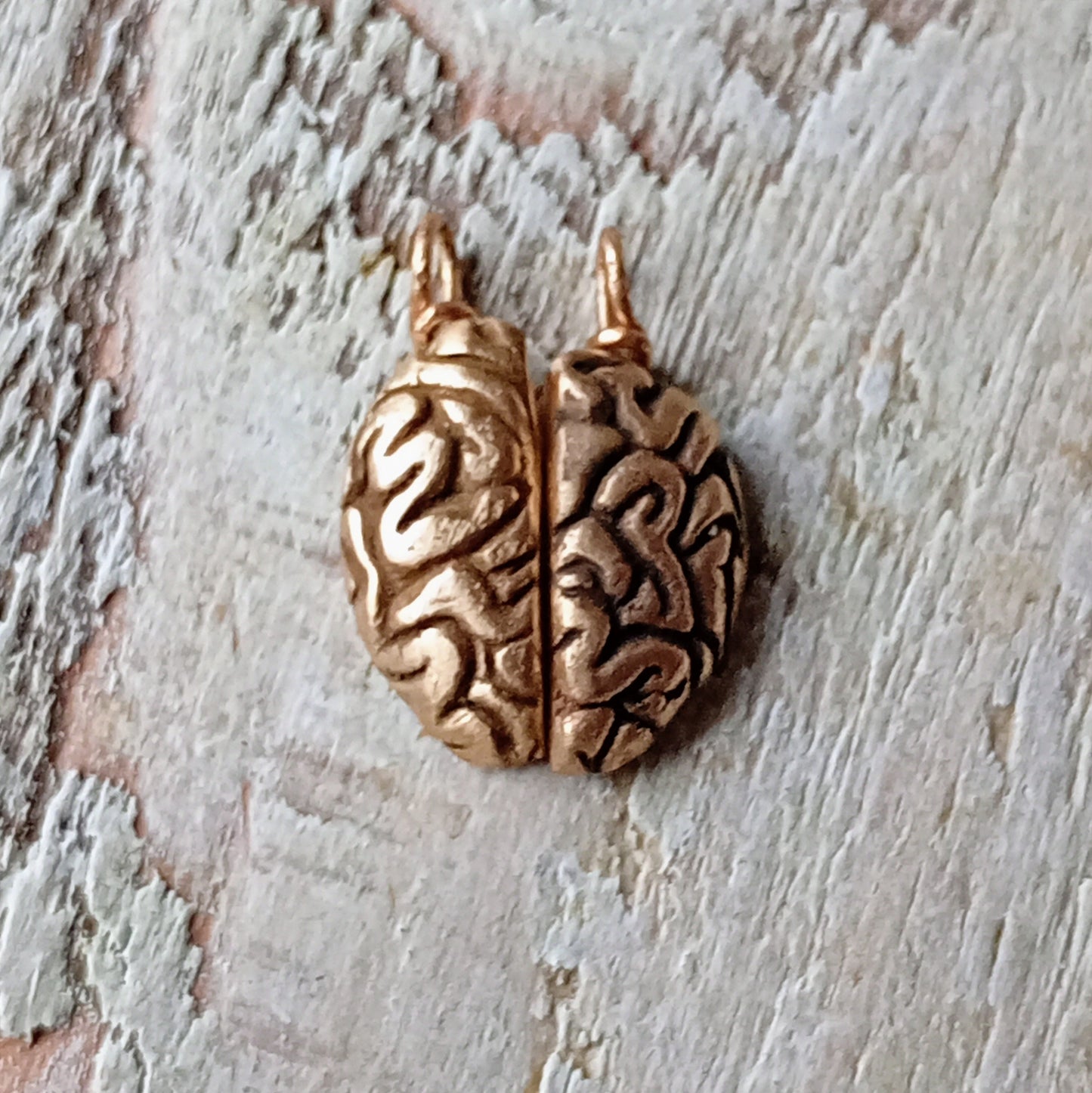 friendship necklace with a brain split in two halves as two pendants