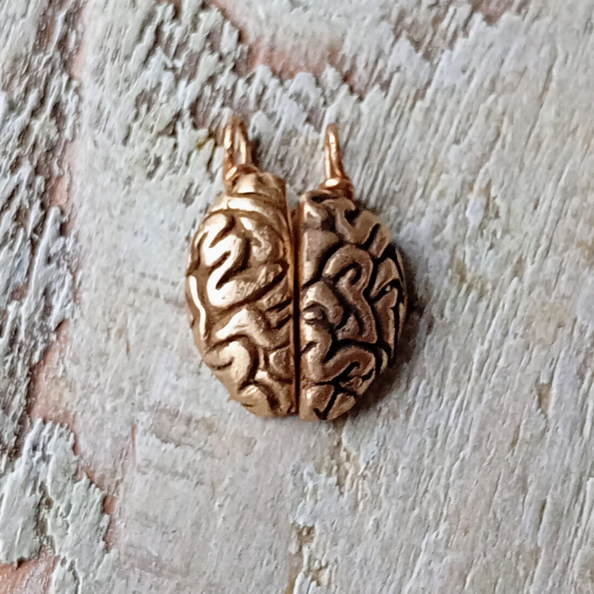 friendship necklace with a brain split in two halves as two pendants