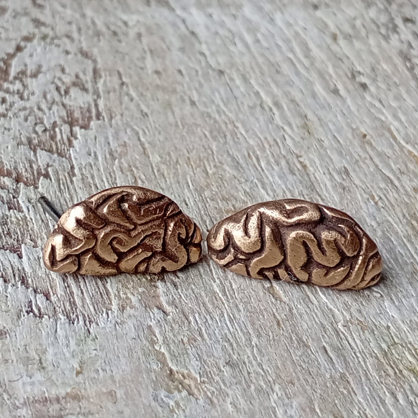 örhängen i titan och brons med hjärnhalvor, formade som halvmånar