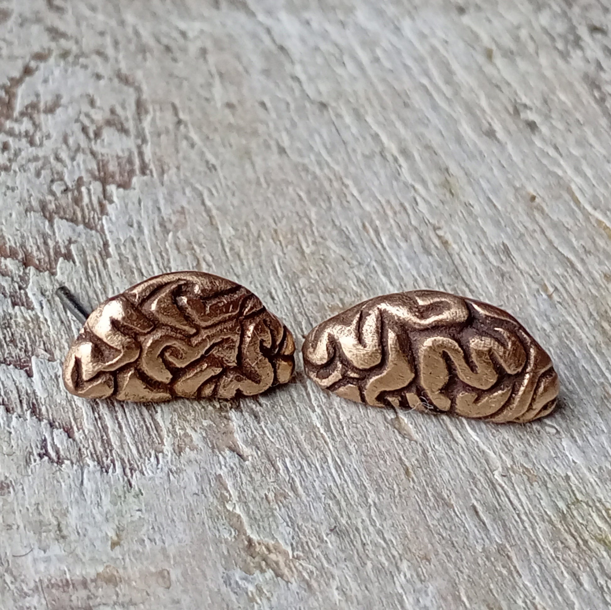 örhängen i titan och brons med hjärnhalvor, formade som halvmånar