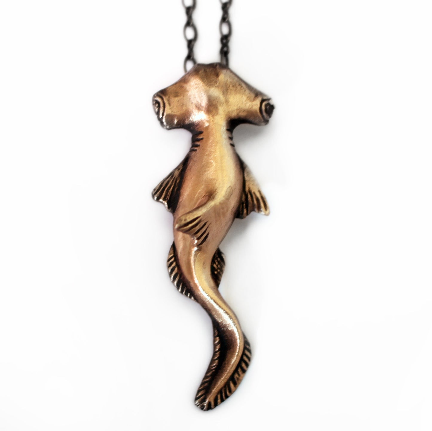 Hammer head shark