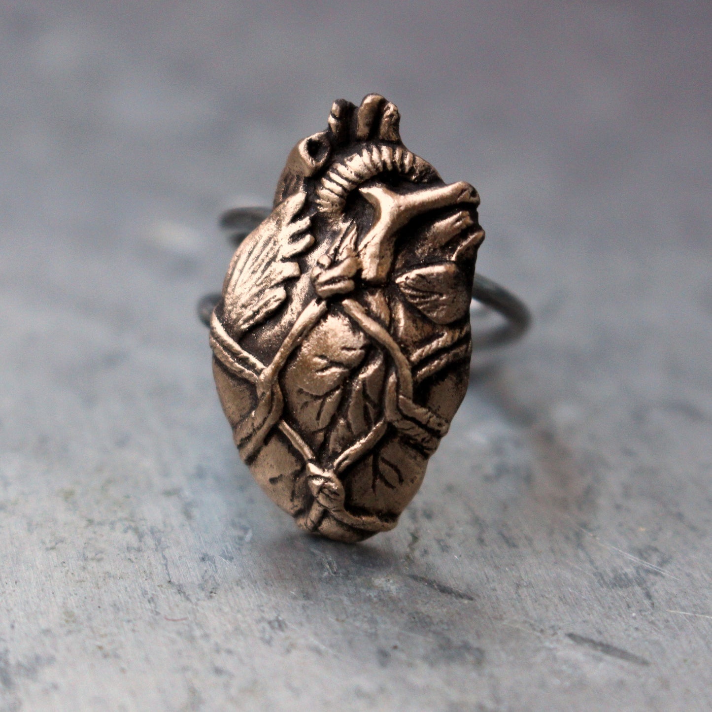 Bound anatomical heart ring