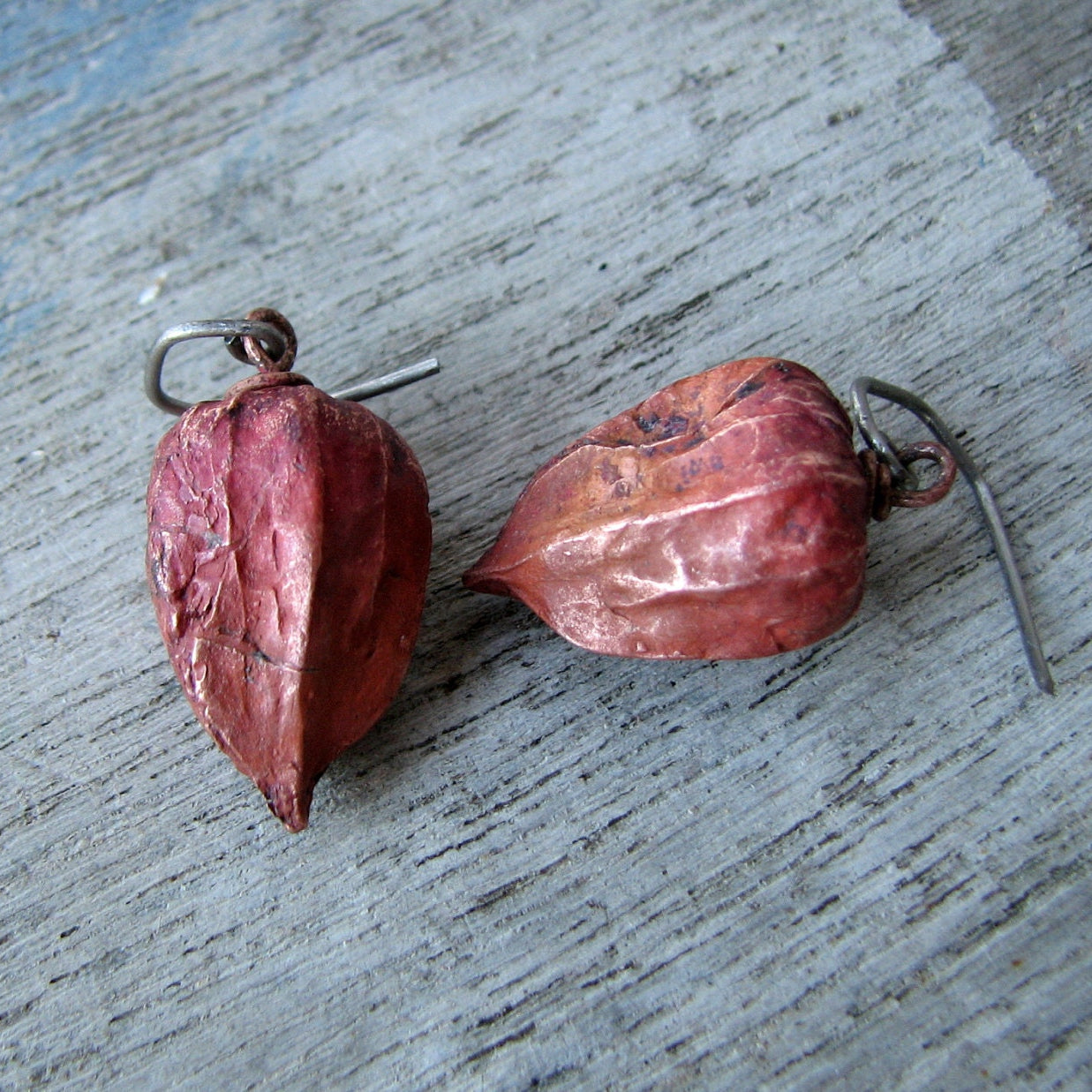 örhängen med physalis skulpterade i koppar med titan krokar