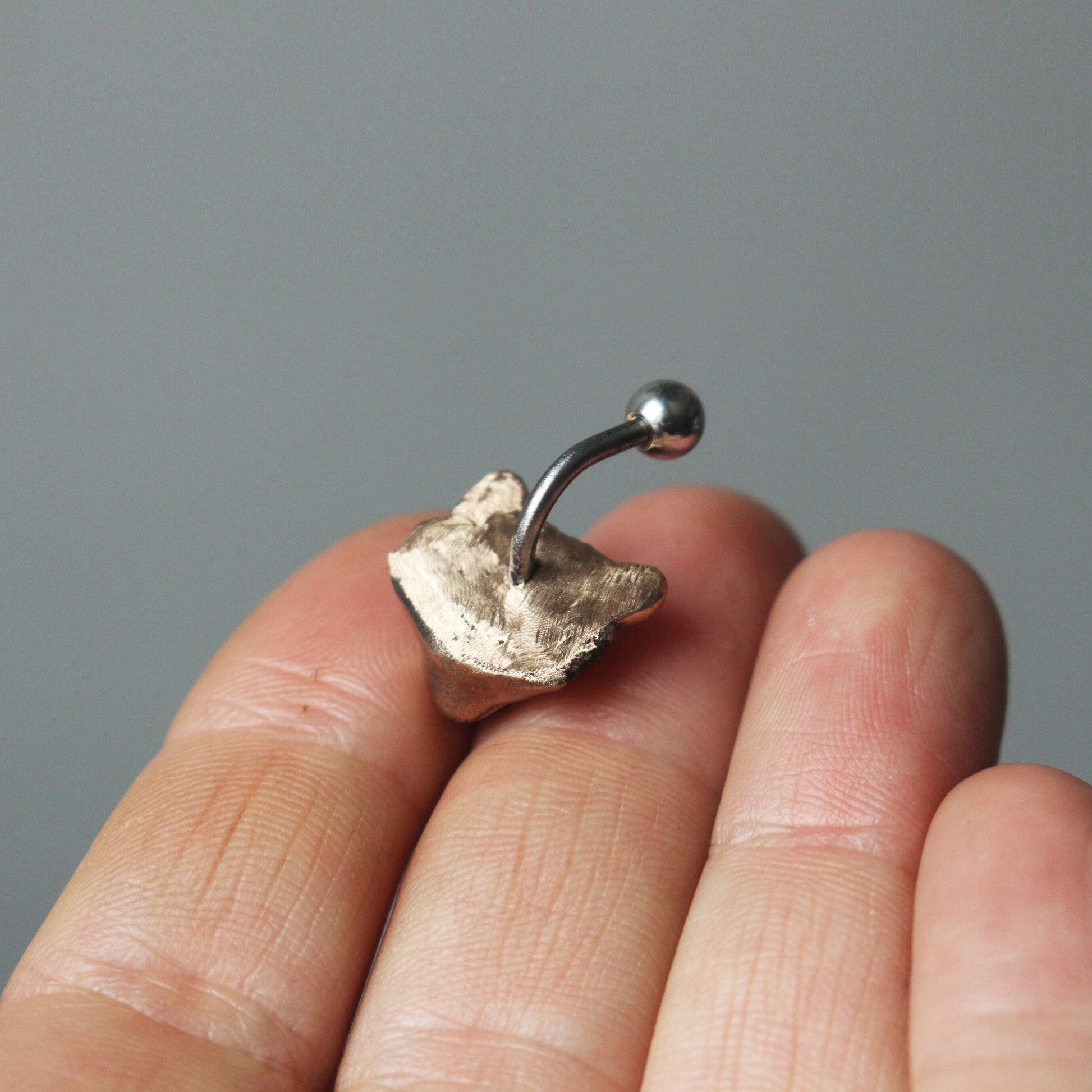 A bronze and titanium belly button ring with a raccoon head design held between fingers. backside