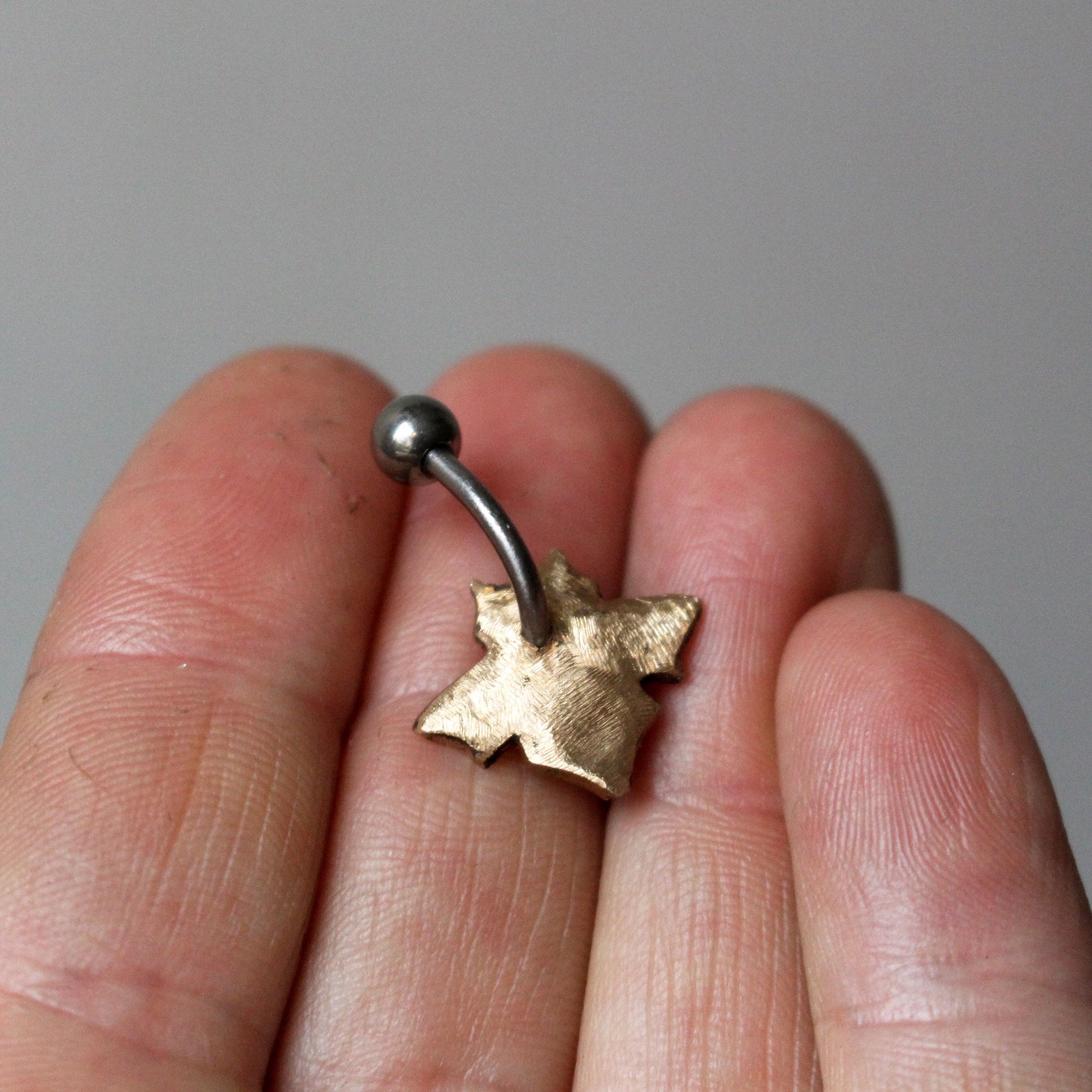 baksida, insekt honungsbi navelring