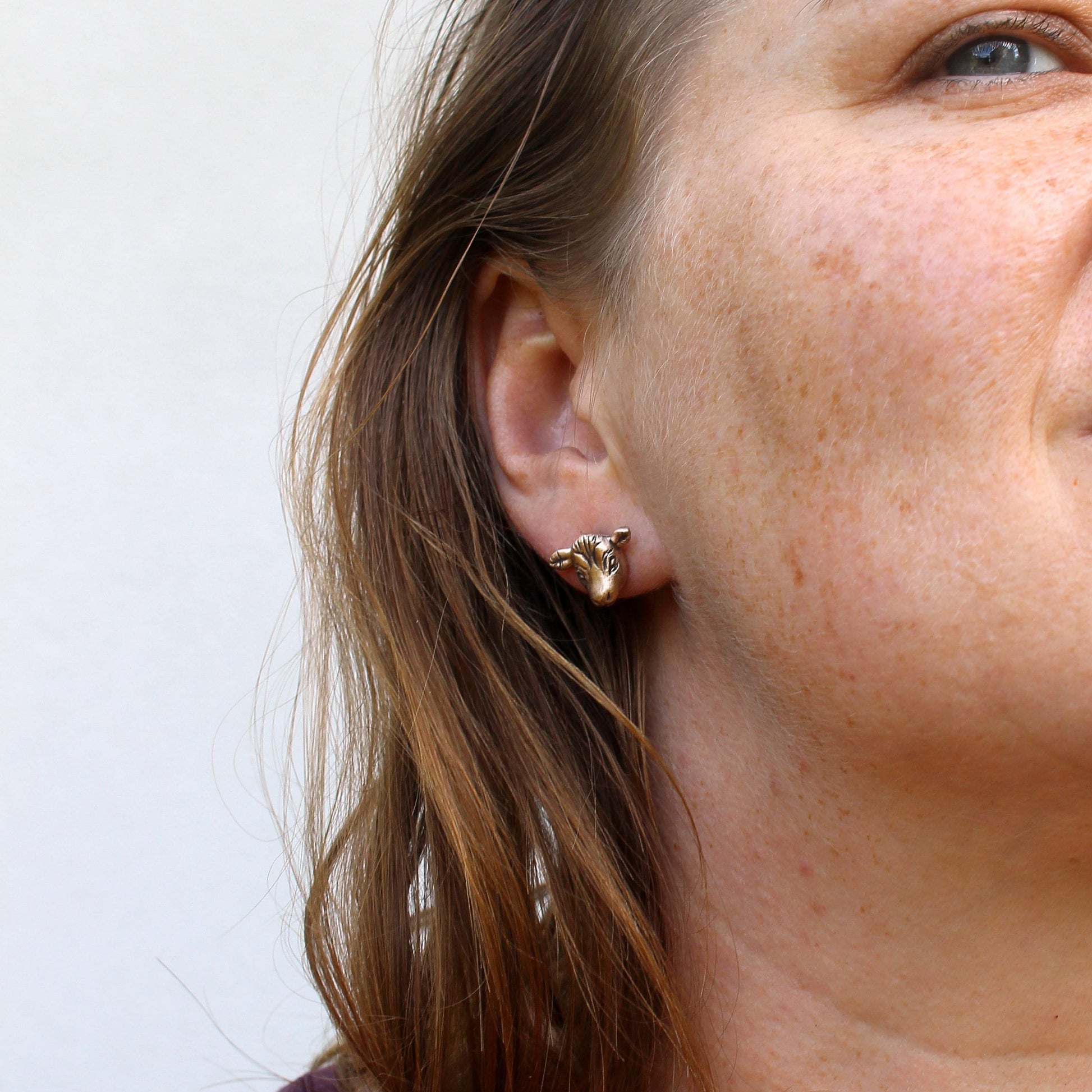 kohuvud örhängen i brons och titan