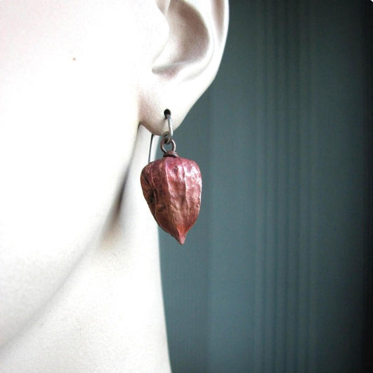 physalis örhänge i koppar och titankrok på modell