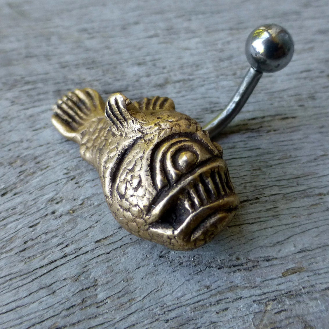 A belly button ring featuring a  bronze piranha fish with a barbell in titanium or surgical steel