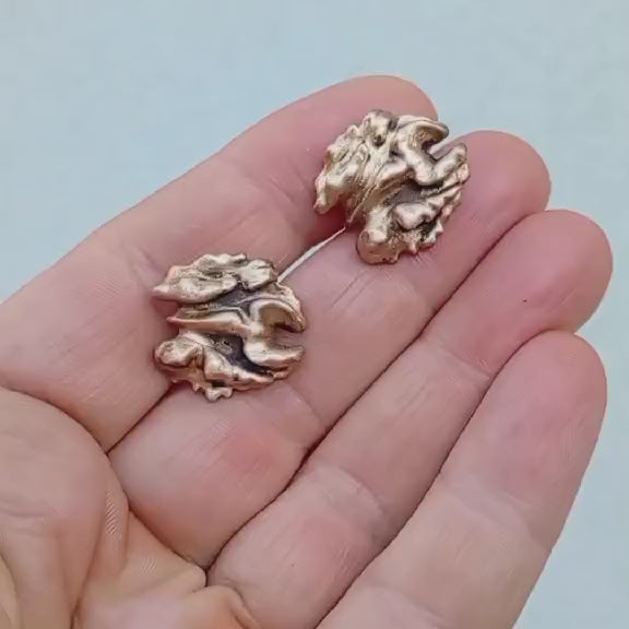 walnut kernel kufflinks in bronze and stainless steel