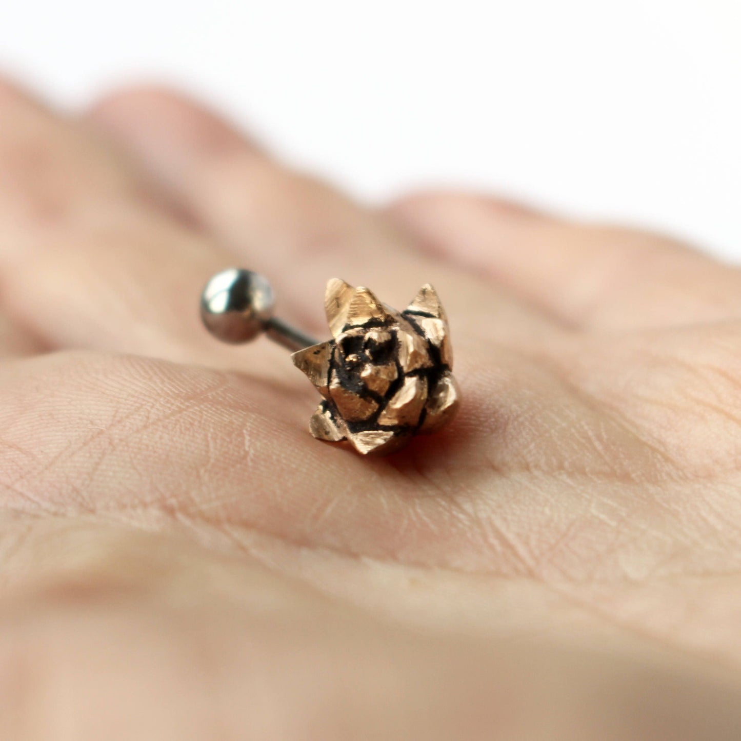 succulent piercing smycke i brons och titan