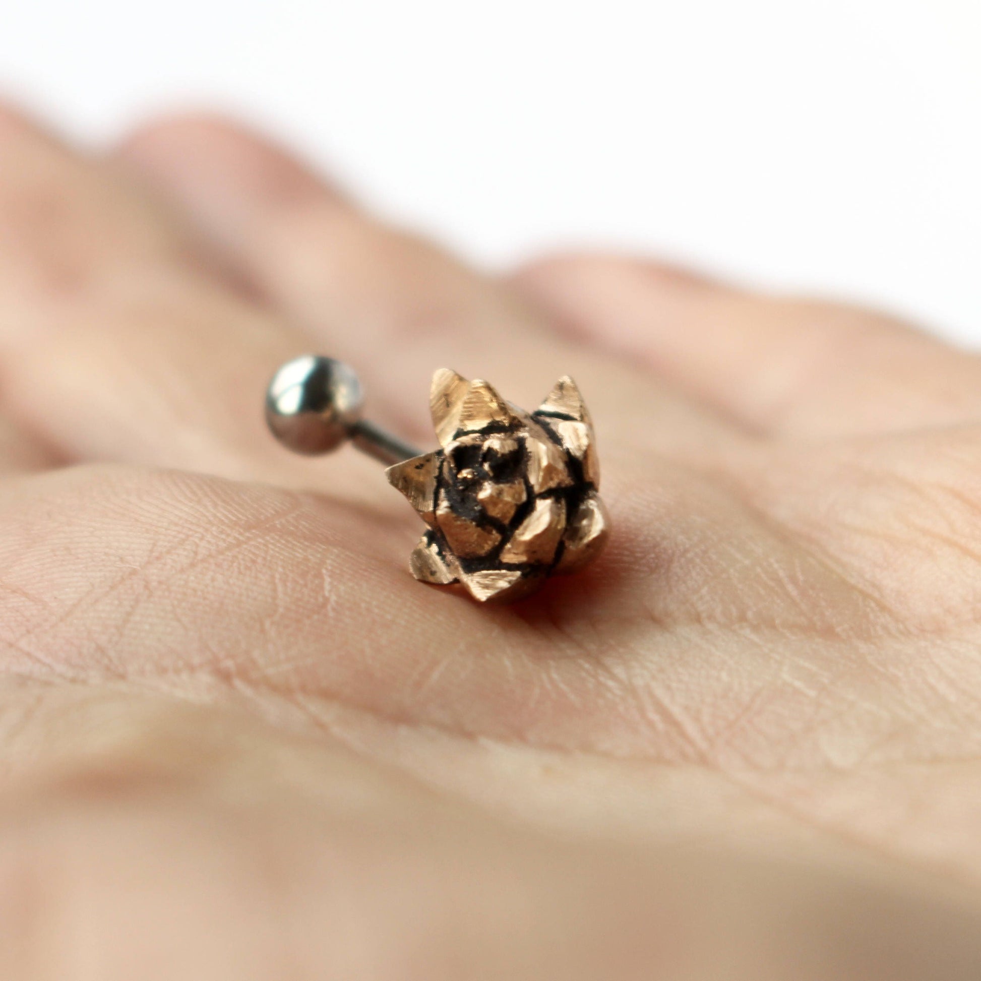 succulent piercing smycke i brons och titan