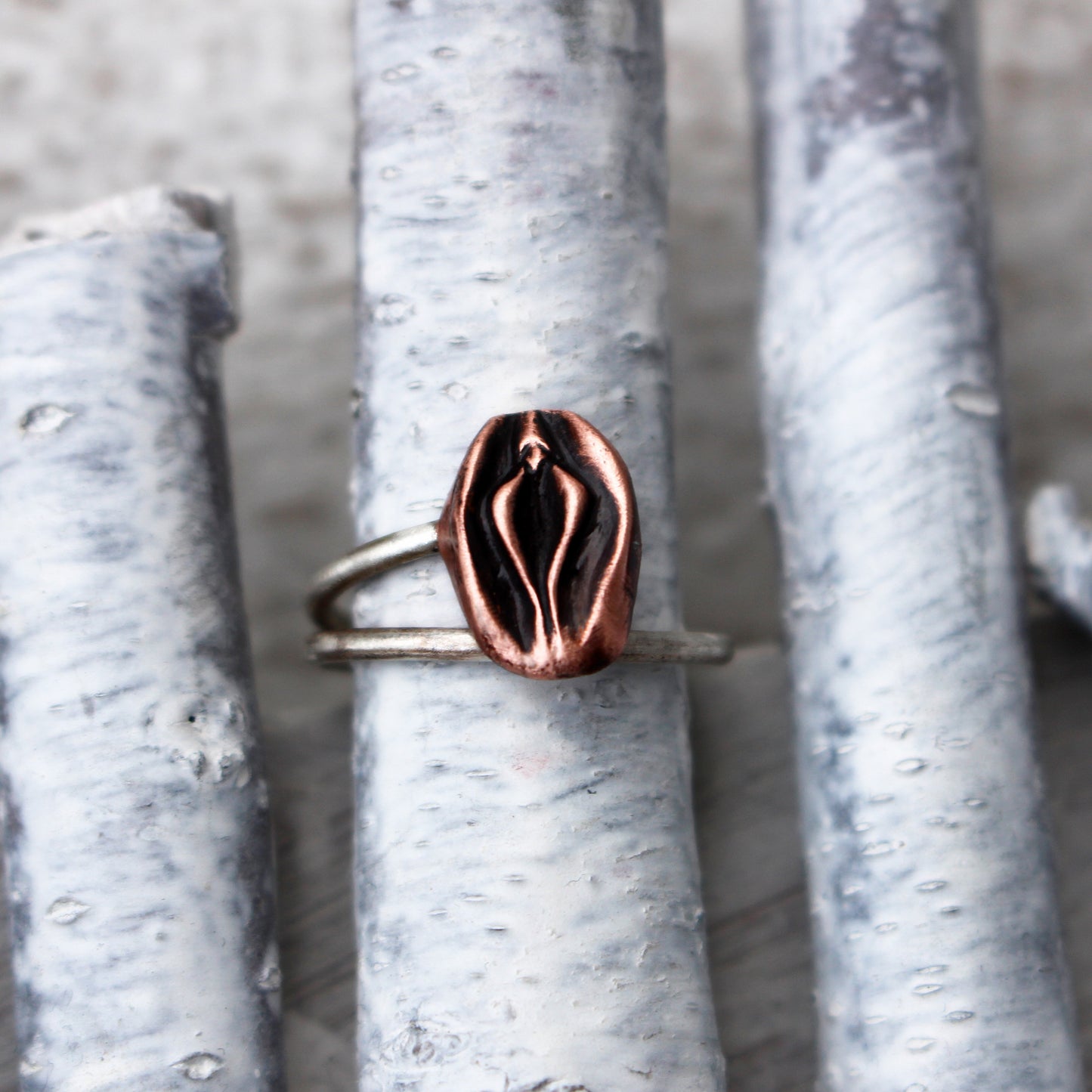 vulva fitta feminist inger ring